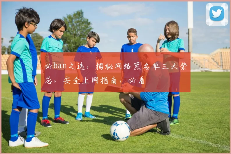 必ban之选，揭秘网络黑名单三大禁忌，安全上网指南，必看