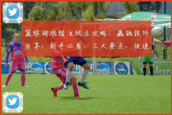 篮球游戏赌注玩法攻略，赢钱技巧分享，新手必看，三大要点，快速上手