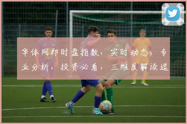 华体网即时盘指数，实时动态，专业分析，投资必看，三维度解读逗逗逗