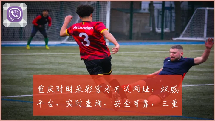 重庆时时采彩官方开奖网址，权威平台，实时查询，安全可靠，三重保障，一网打尽