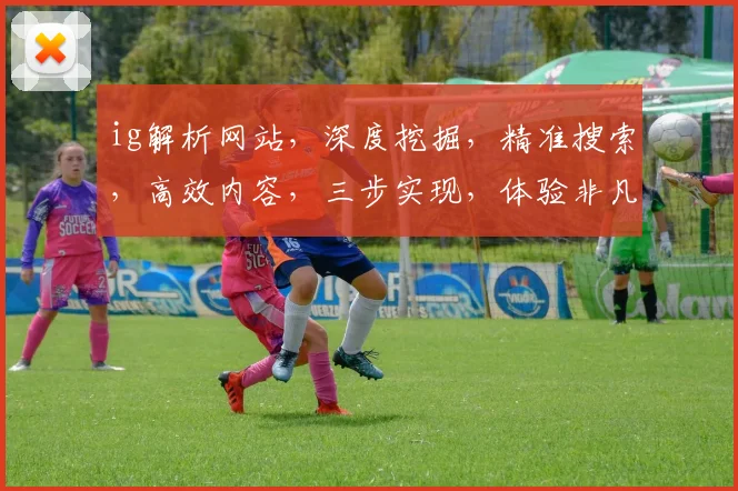ig解析网站，深度挖掘，精准搜索，高效内容，三步实现，体验非凡，轻松驾驭