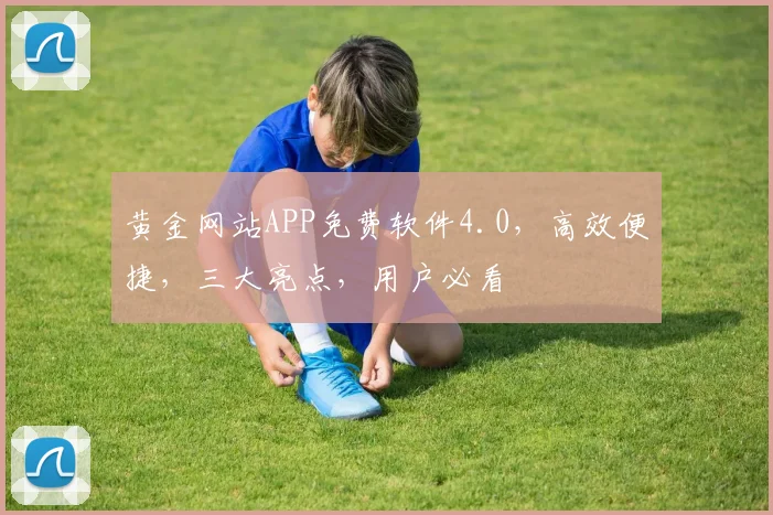 黄金网站APP免费软件4.0，高效便捷，三大亮点，用户必看